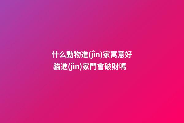什么動物進(jìn)家寓意好 貓進(jìn)家門會破財嗎